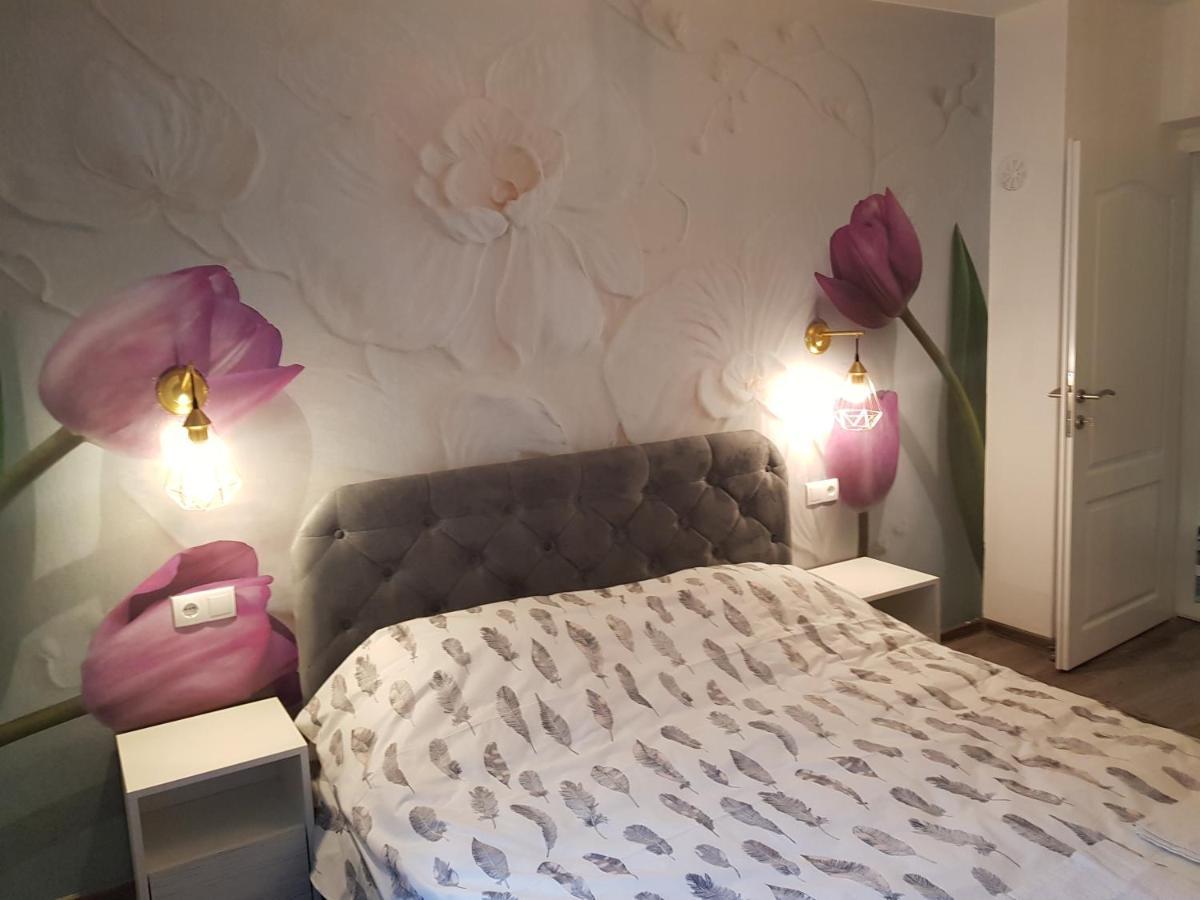 Apartment Jenny In Sarajevo City Center מראה חיצוני תמונה